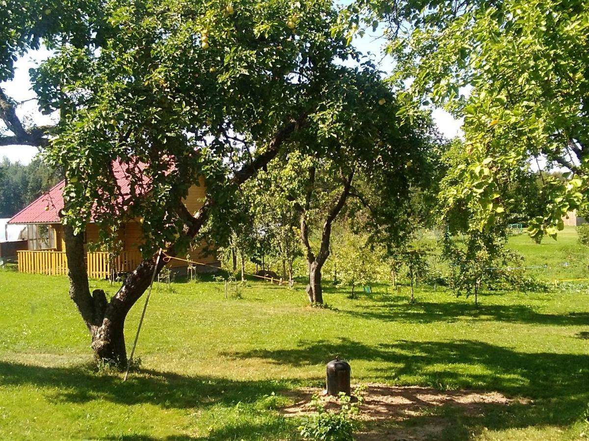 Ceslovos Sodyba Zarasai Extérieur photo