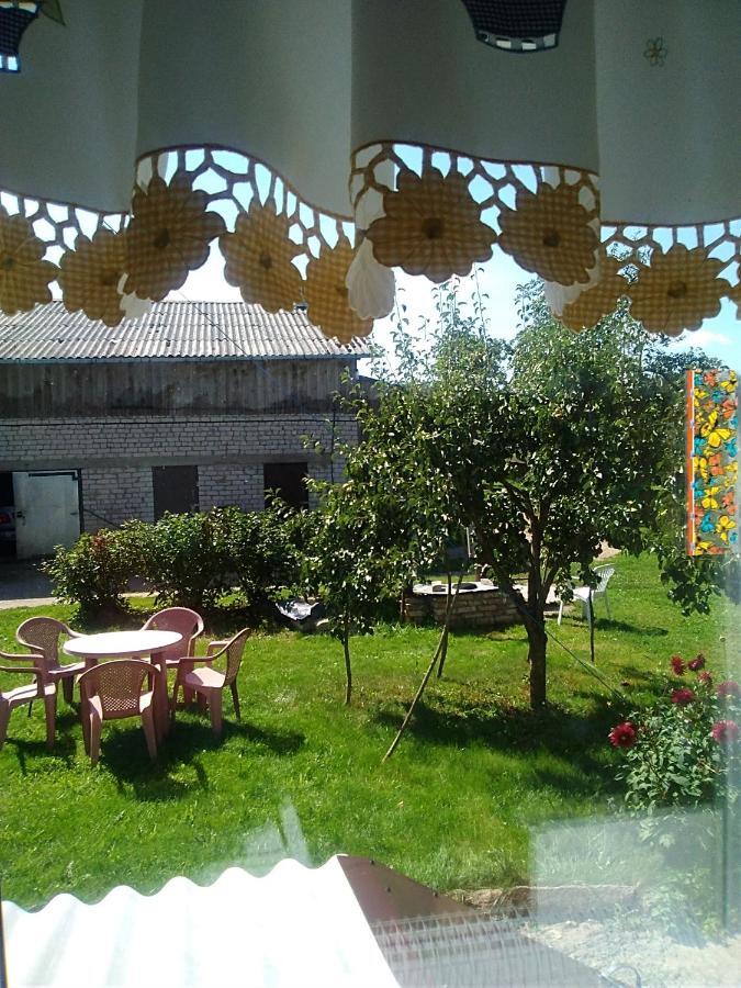 Ceslovos Sodyba Zarasai Extérieur photo